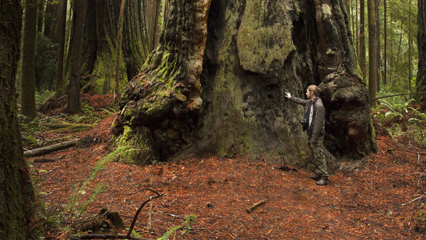 エンドアの再現過程.jpg エンドアの再現過程.jpg